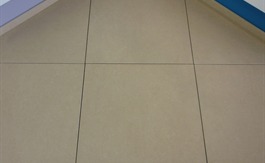 VLOERTEGEL ELEMENTS BEIGE 47.2X47.2
